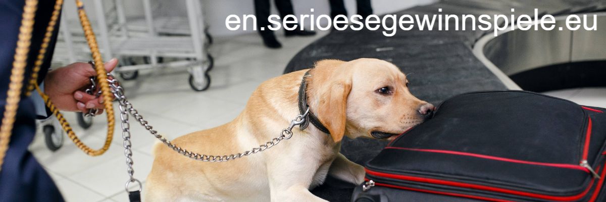 en.serioesegewinnspiele.eu